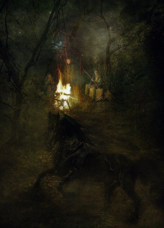 Черный конь фото превью