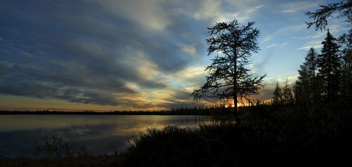 белые ночи#3