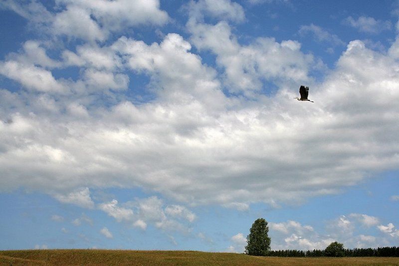 небо По небу-океану фото превью