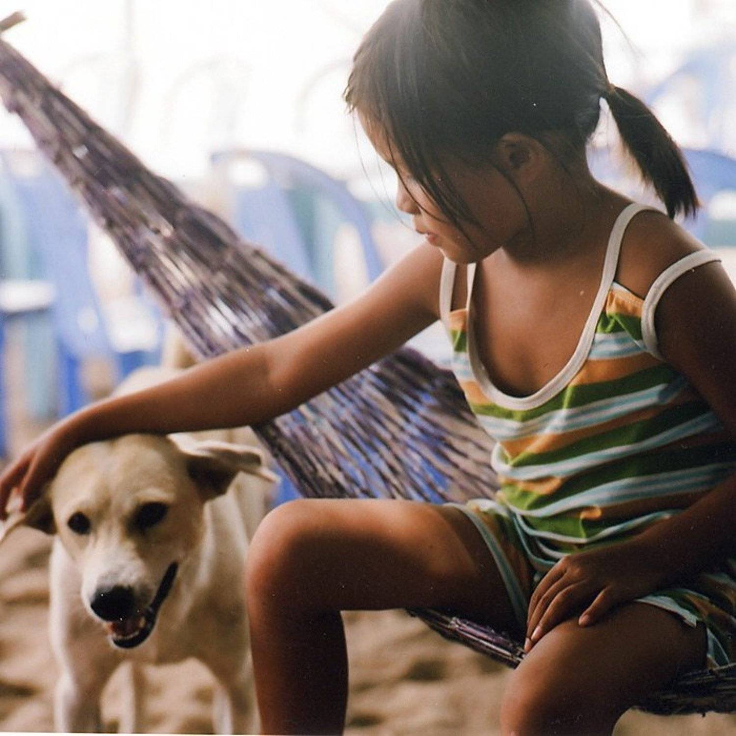 , Поцелуев Павел