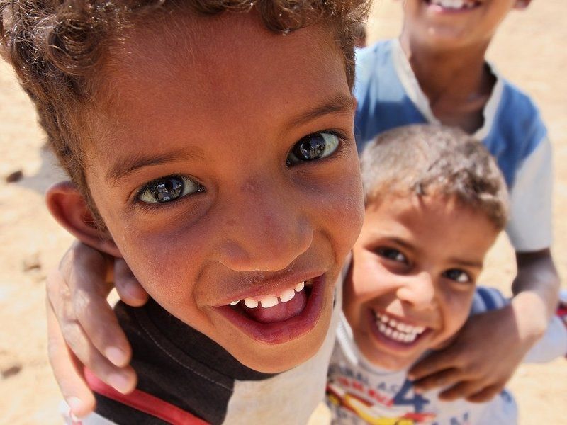 Глаза в глаза (цвет) фото превью