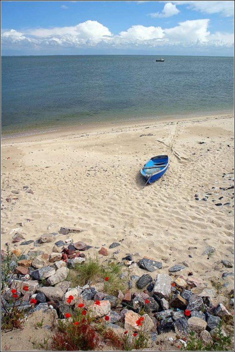 , Александр Шепталенко