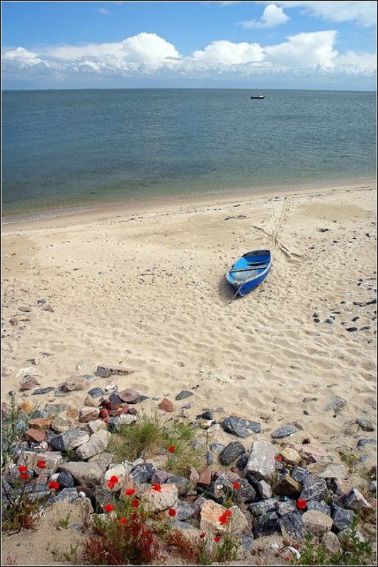 * * * фото превью