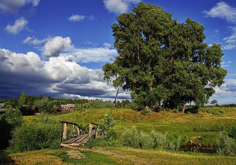 перед грозой фото превью