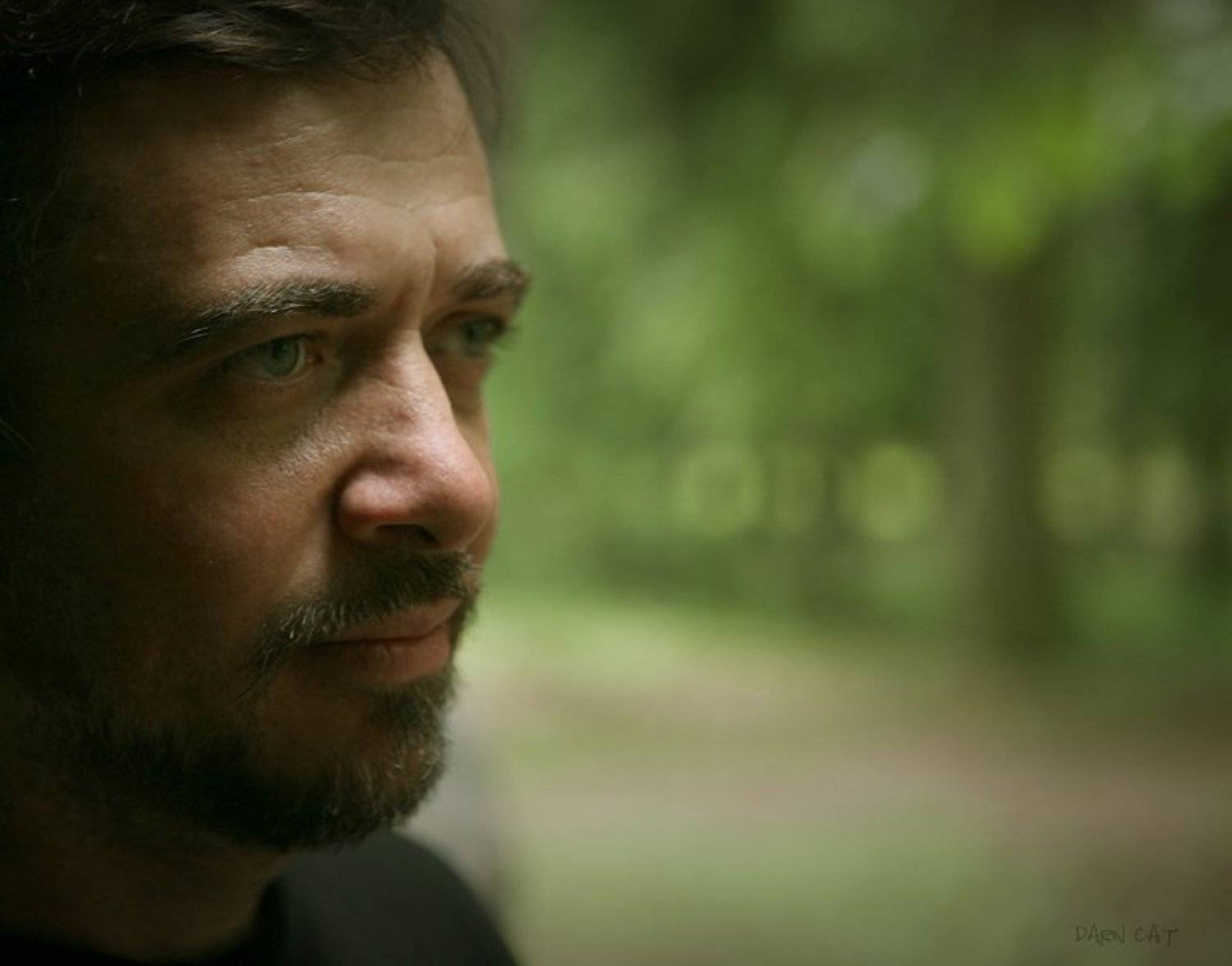 максим, шамота, павловск, питер, прогулка, Darn Cat