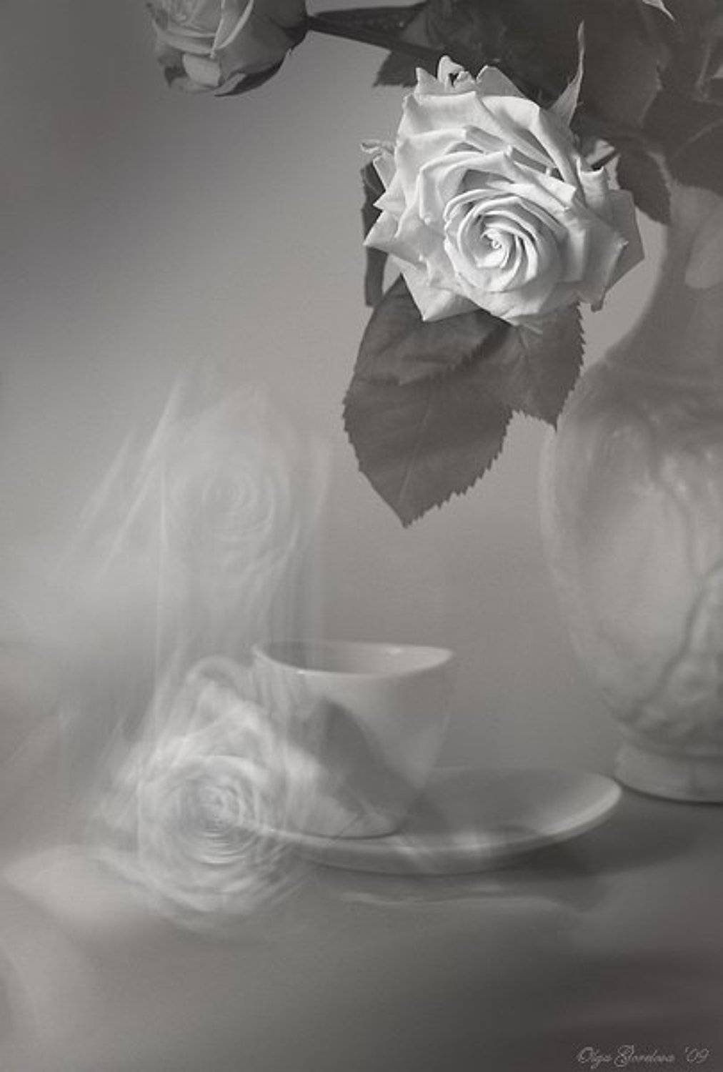 фото, чайные, розы, натюрморт, Ольга Горелова