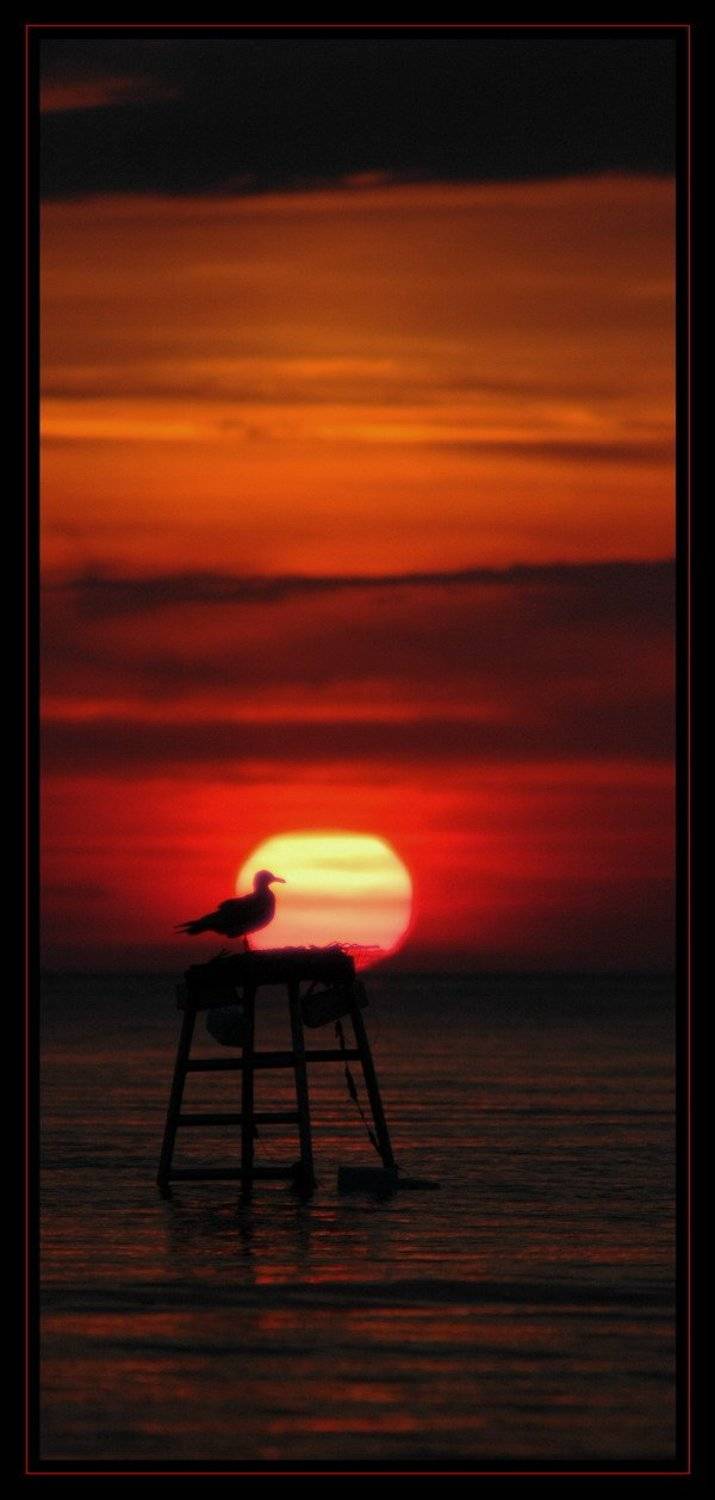 чайа, закат, море, Дмитрий Г.