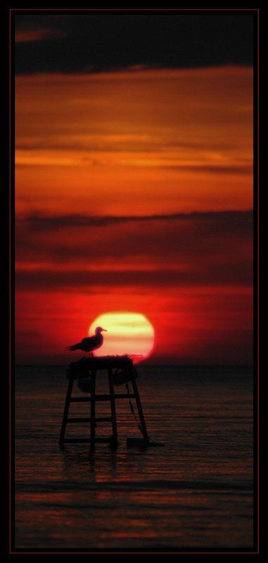 чайа, закат, море Наедине с солнцем... (Tet-a-tet (2)) фото превью