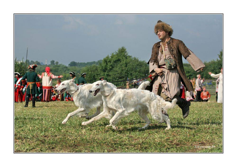 царская охота, коломенское, 9 июля 2009, полтавская битва, кулешов, поэма а.с. пушкин полтава, Кулешов Евгений