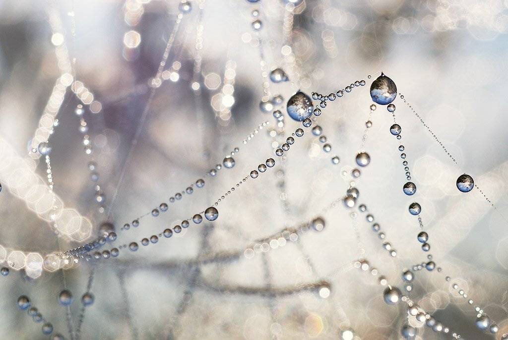 , Владислав.