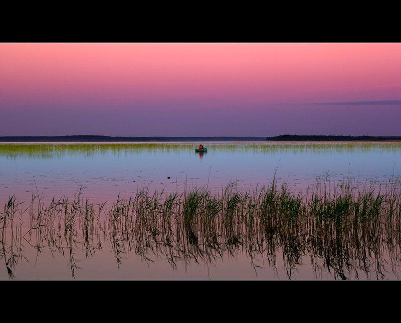 Летняя ночь в июне фото превью