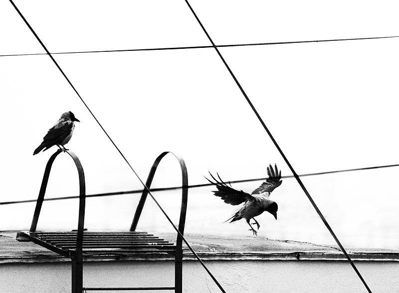 , Максим Юлдашев