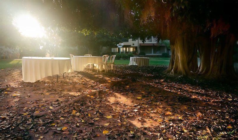 поХМЕЛЬНОЕ УТРО фото превью