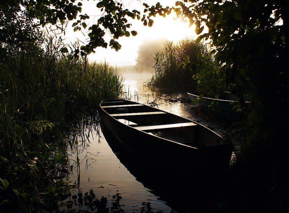 , Владислав.