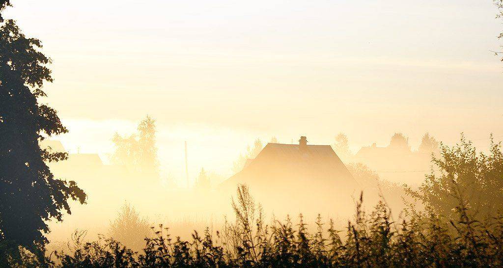 , Владислав.