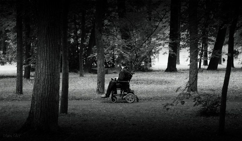 павловск, прогулка, одиночество, аллея Одинокая прогулка фото превью