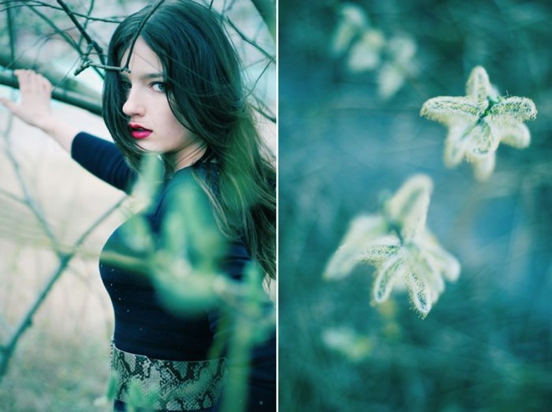 фото превью