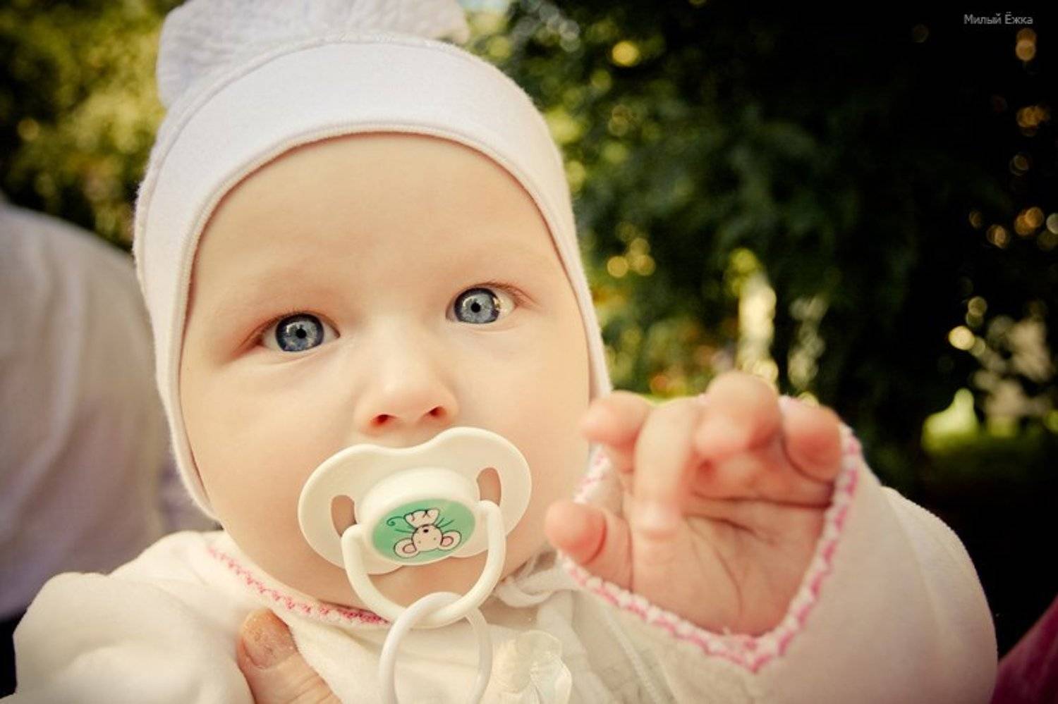 племяшка, Милый Ёжка