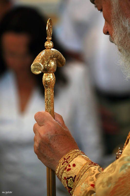 владимир фото превью