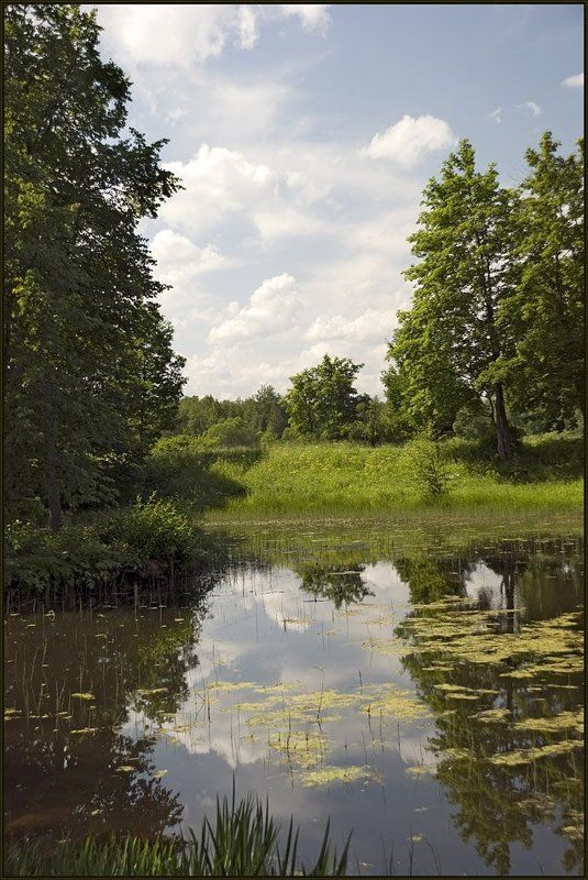 вода, деревья, евгений поздняков, красота, лес, лето, луговой парк, небо, облака, озеро, отражение, отражения, парк, пейзаж, петергоф, петродворец, природа, прогулка, путешествия, растения, река, тучи, флора Тишина фото превью