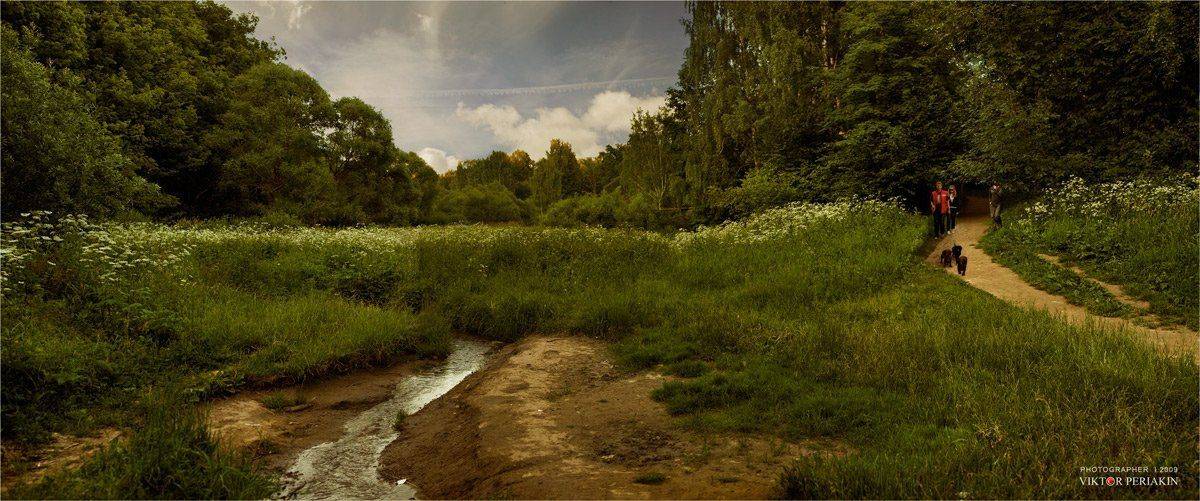 битцевский, лес, тропинка, речка, собаки, женщины, Виктор Перякин