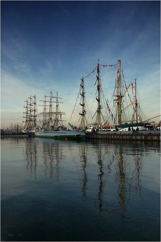 петербург, регата, , белые, ночи Ветер дальних старанствий фото превью