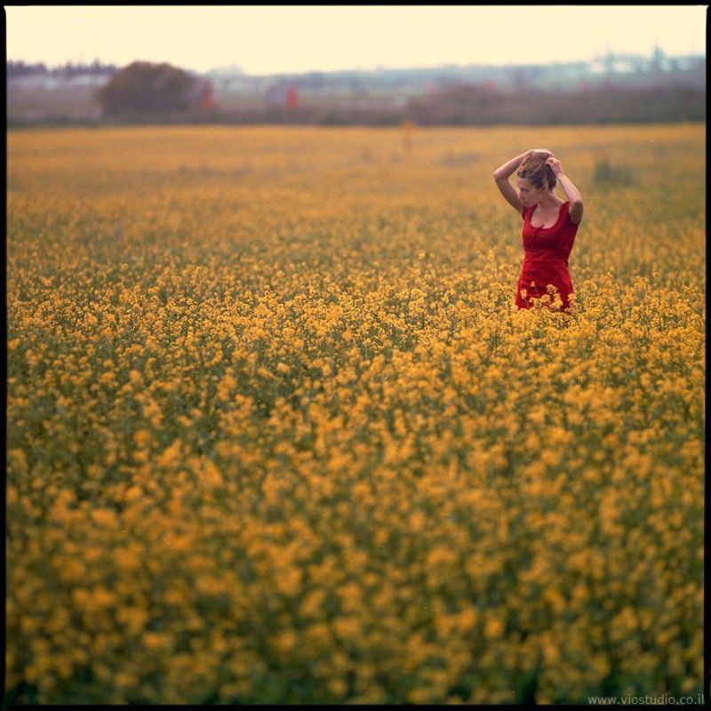 девушка в поле с цветами фото превью