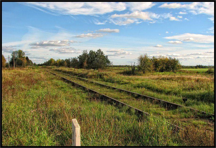 , Лунный Ежик