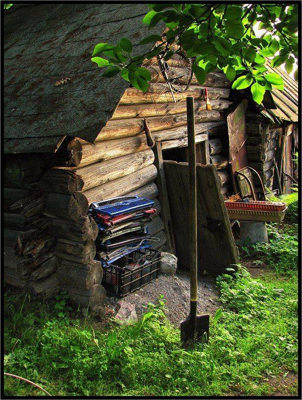 , Лунный Ежик