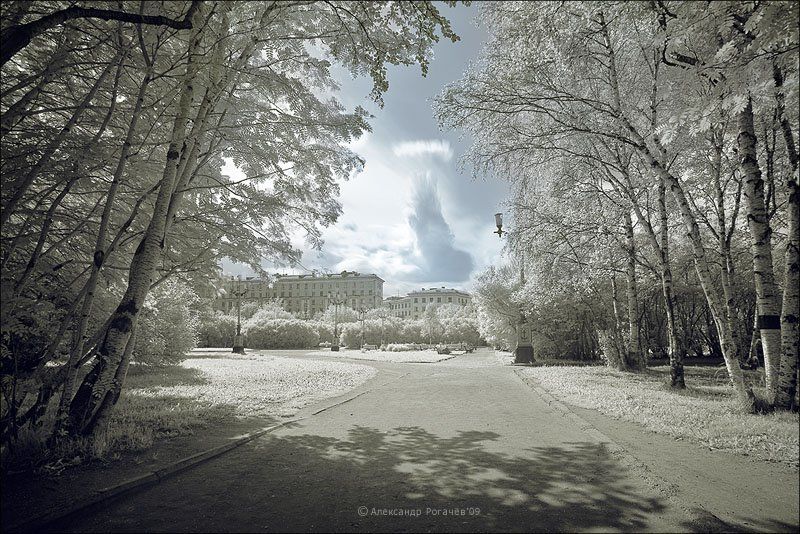мурманск,infrared Северное лето#2 фото превью