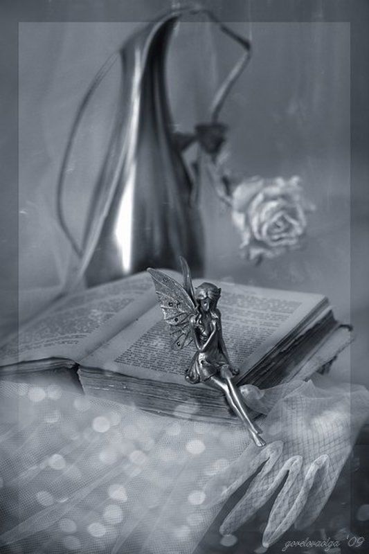 книга, фото, натюрморт любимая книга... фото превью