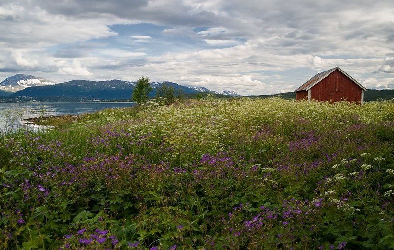 Жара фото превью