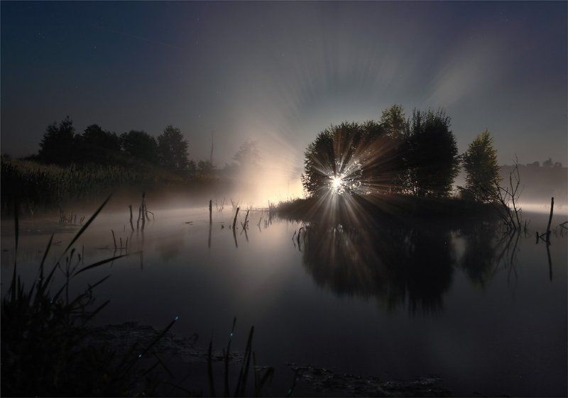 В ночь на Петров день фото превью