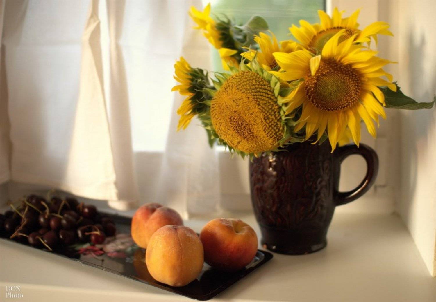 подсолнухи, DON