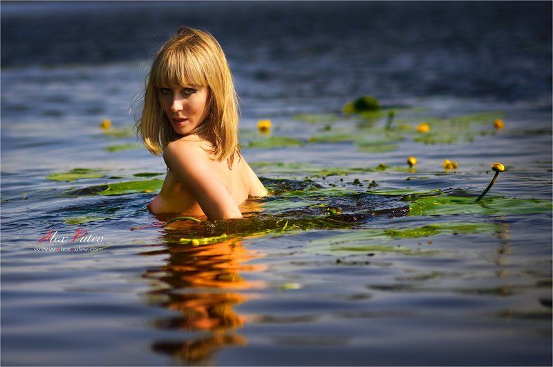 ундина,вода,девушка,лето,солнце Ундина фото превью