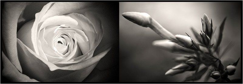 точки зрения. 3 фото превью