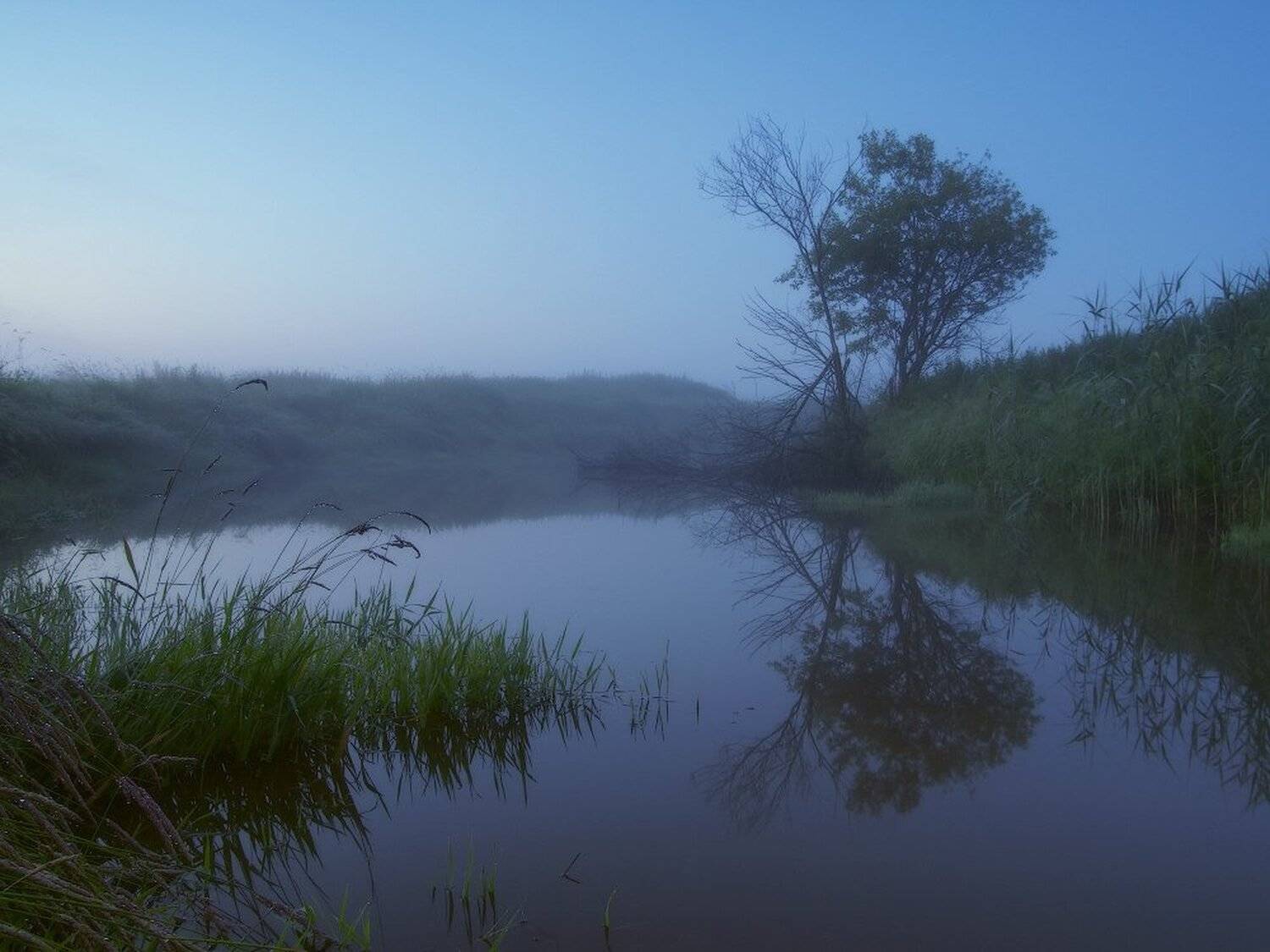 , Максим Евдокимов