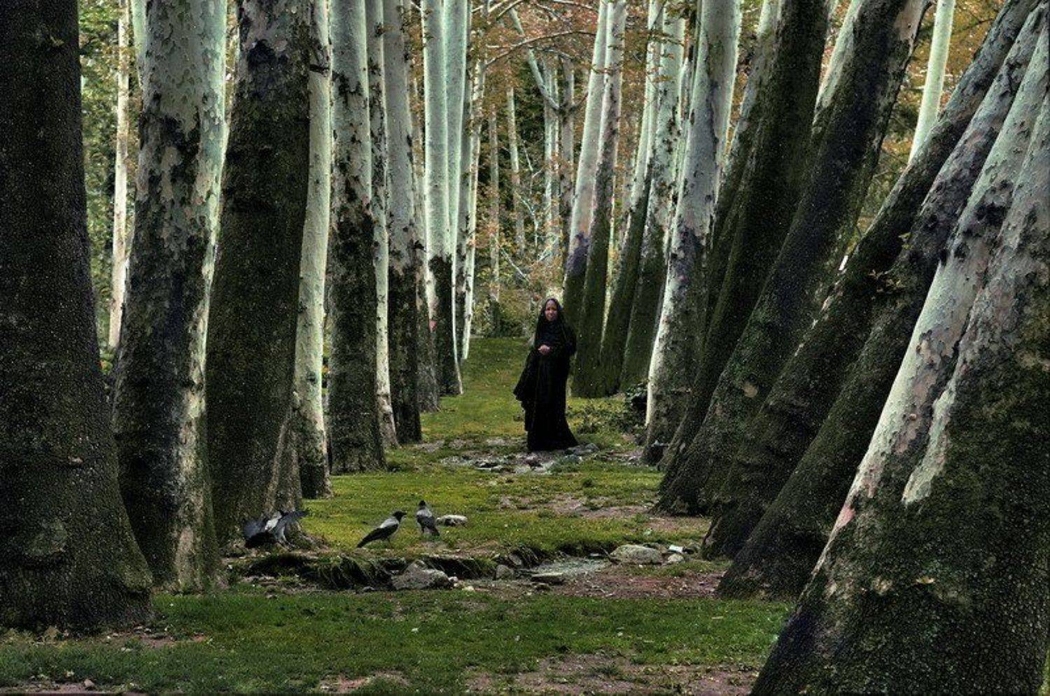 иран, тегеран, fotomafia