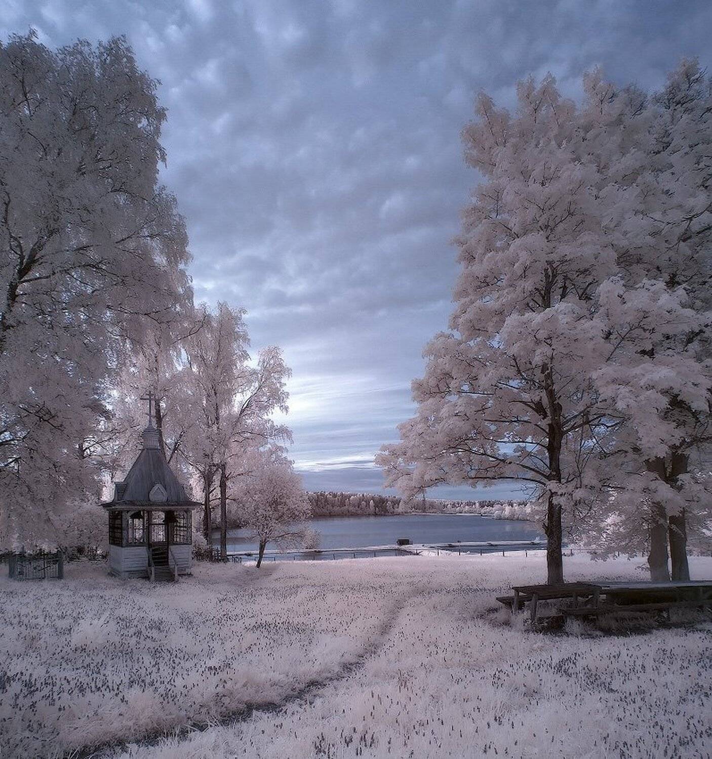 , Максим Евдокимов