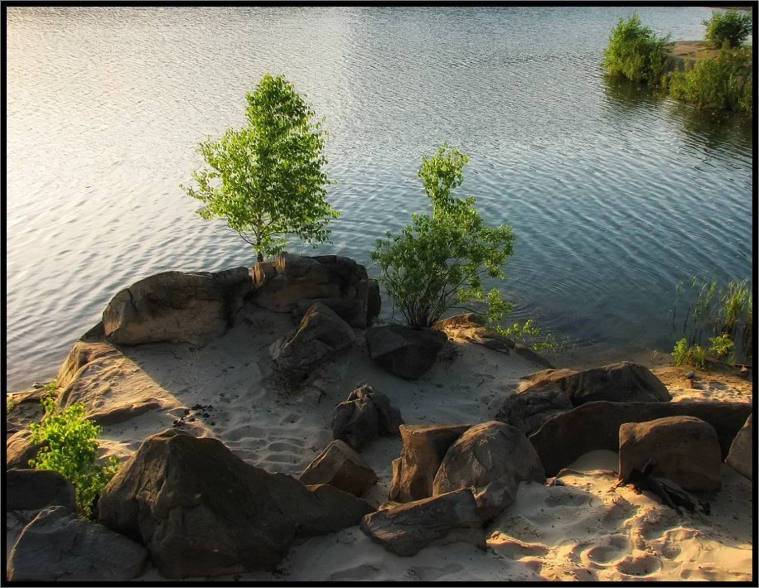 , Лунный Ежик