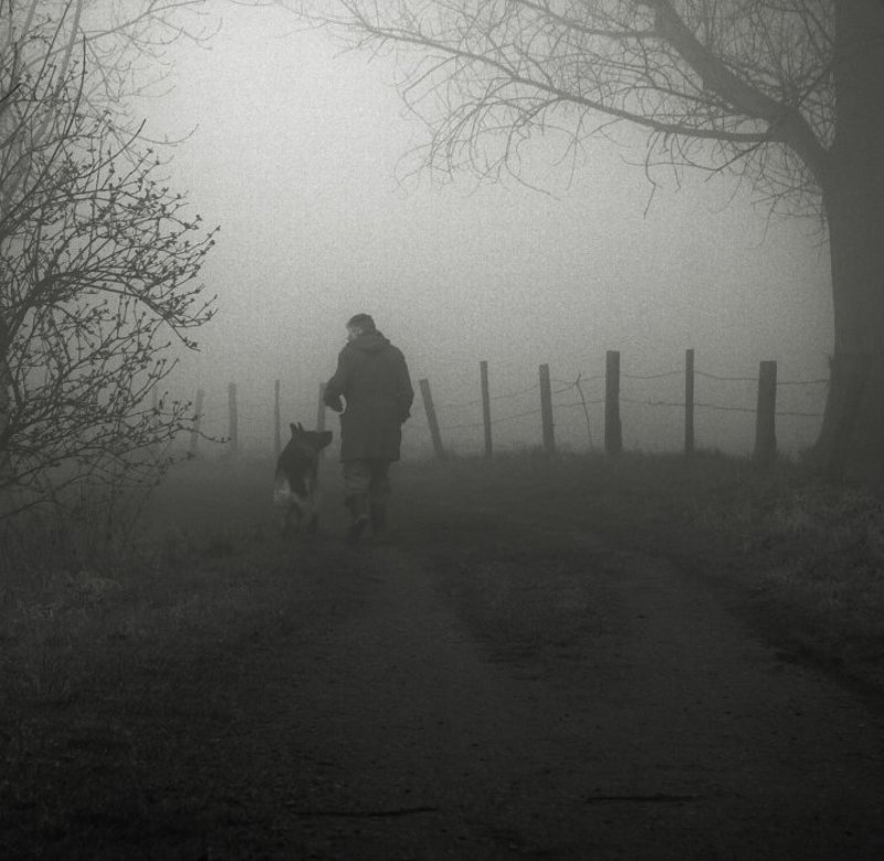 рассказы о прошлом фото превью