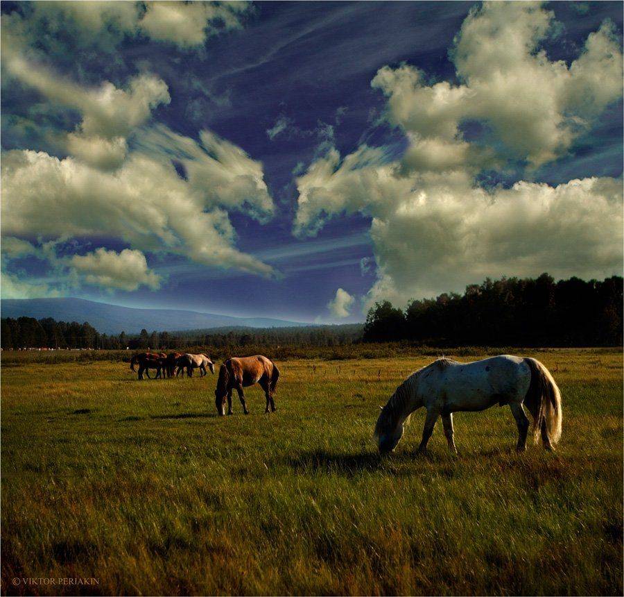 , Виктор Перякин