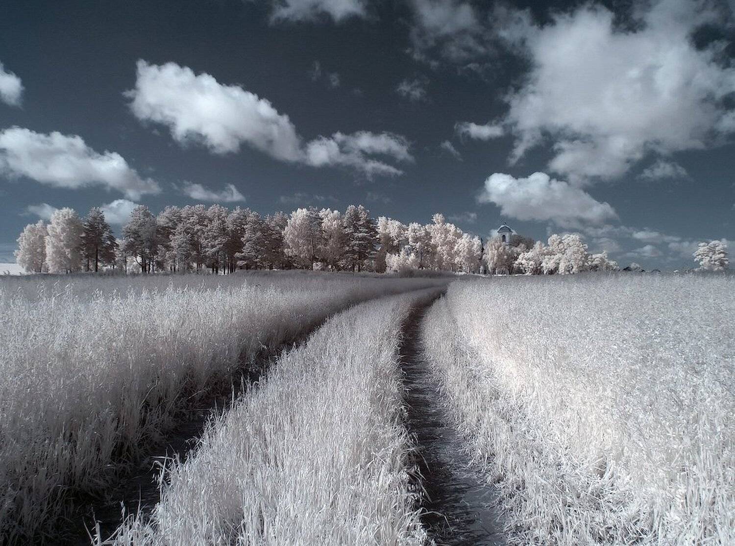 , Максим Евдокимов