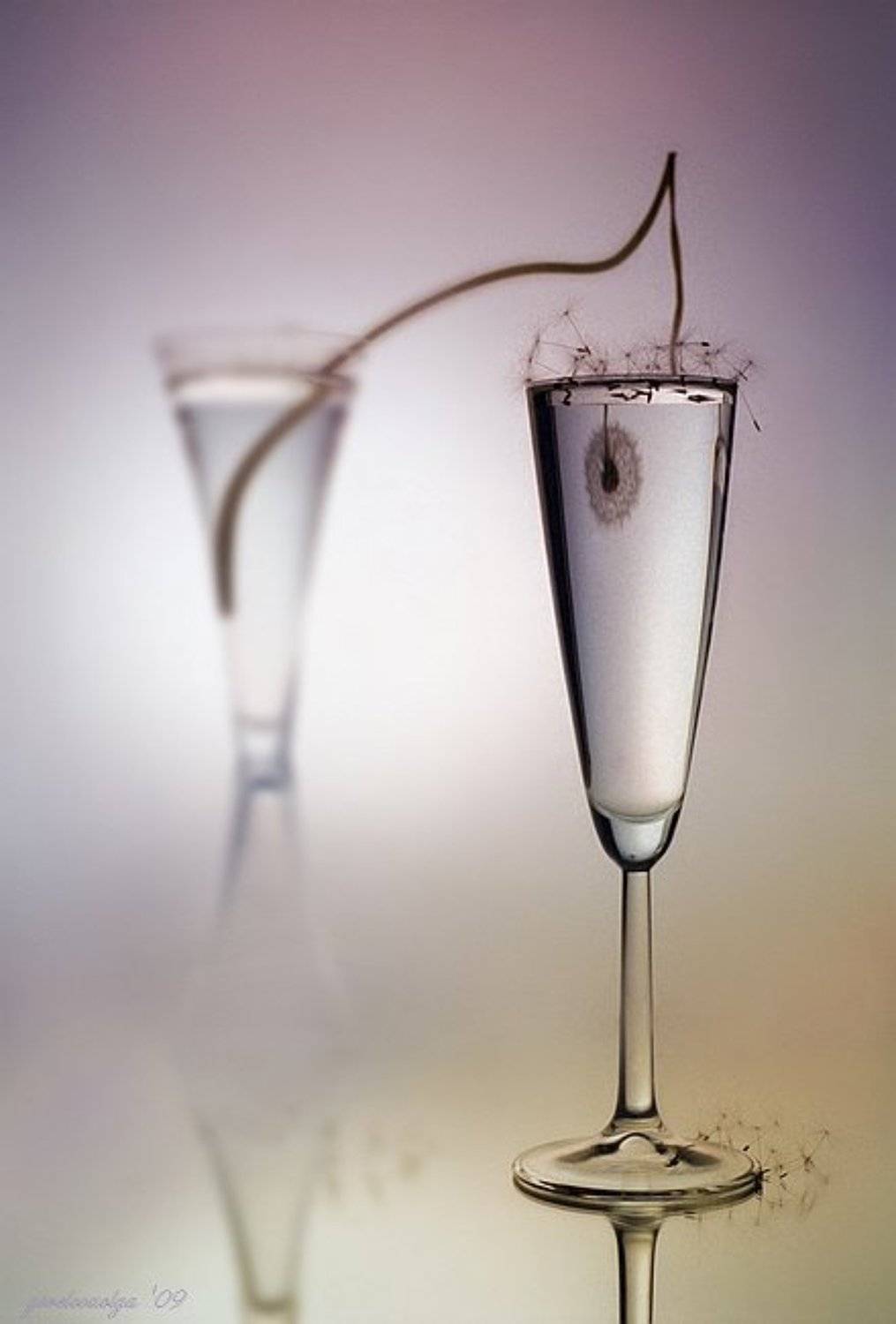 фото, стекло, одуванчик, натюрморт, Ольга Горелова