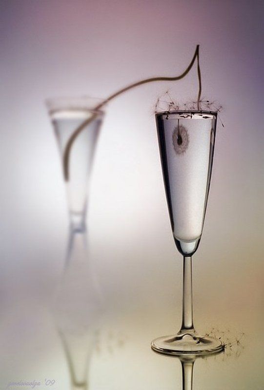 одуванчик... фото превью