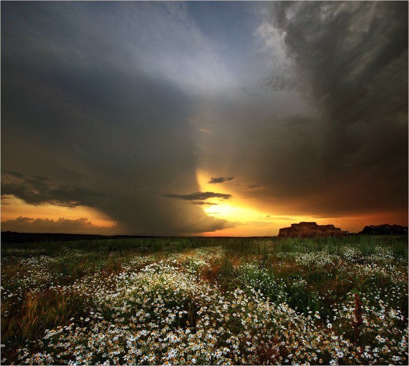 Перед грозой фото превью