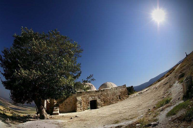 За солнцем следом фото превью