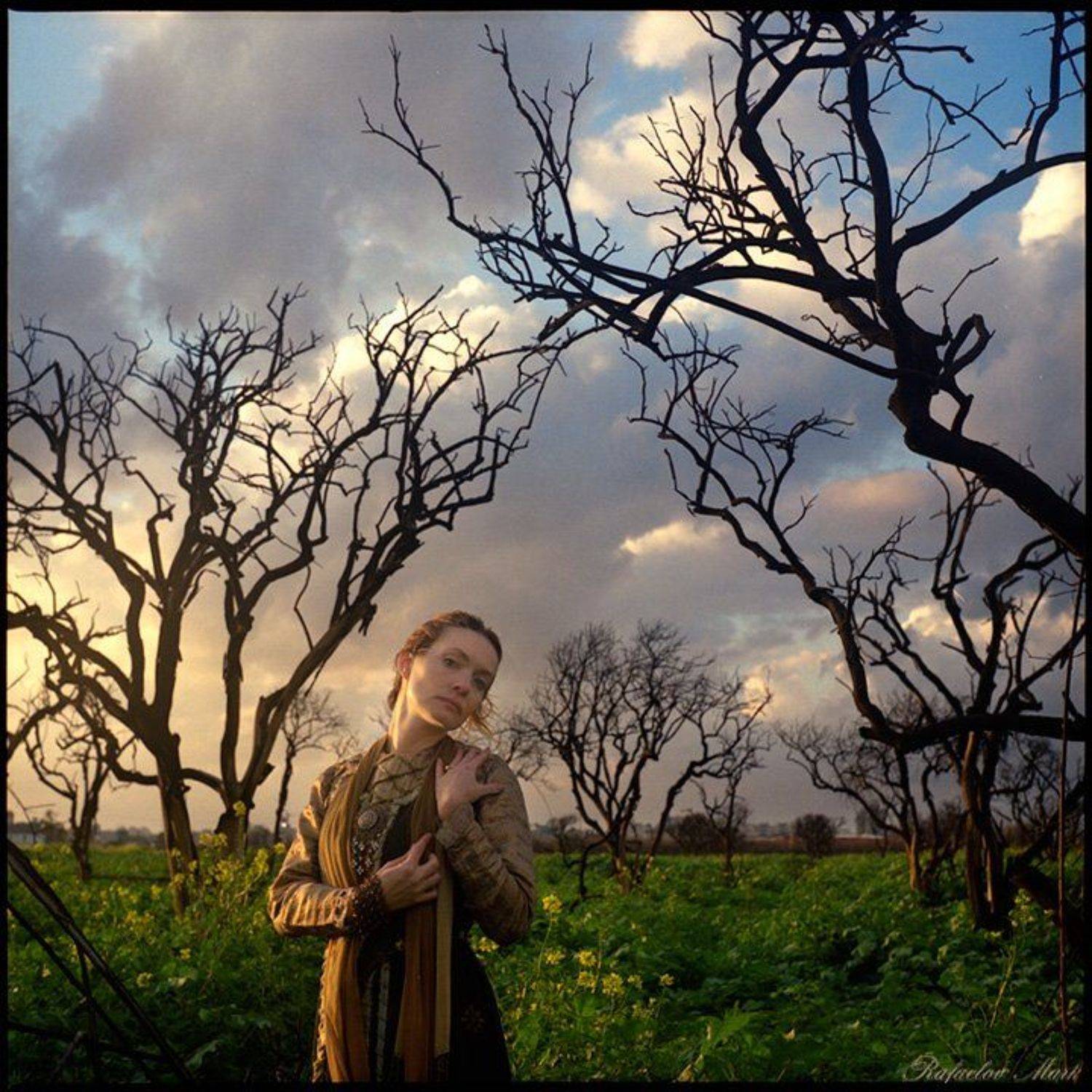 , Рафаэлов Марк