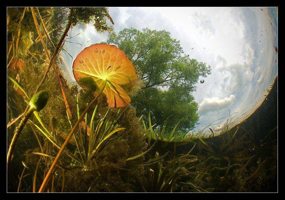 озеро, Сергей Шанин