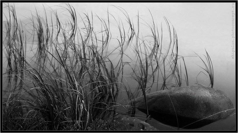 камень,камни,вода,воды,трава,травы,фотограф,владимир,шипулин,томск, Vladim_Shipulin